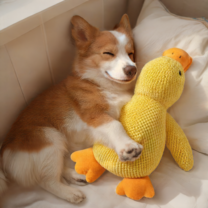 Plush Dog Toy