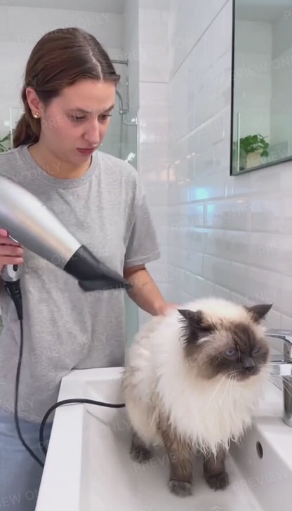Pet smart hair dryer